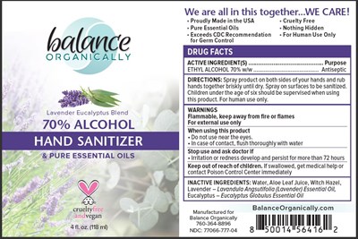 01b Hand Sanitizer_70pct Etoh_4oz (01b Hand Sanitizer 70pct Etoh 4oz)